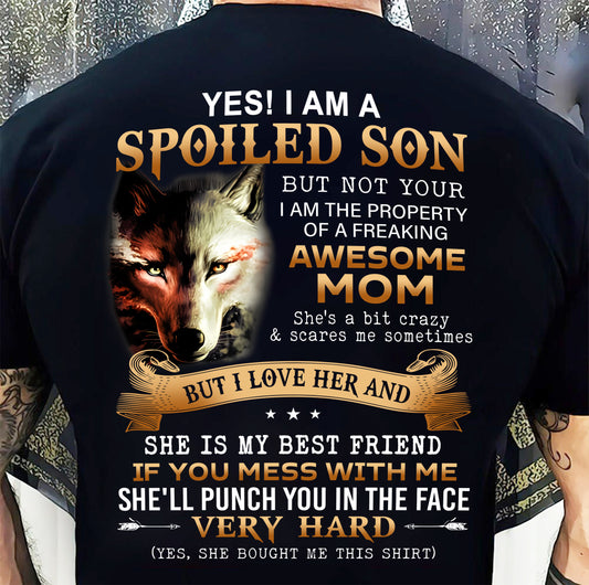 Lucky Son of Awesome Mom - Perfect Gift for Son From Mom - NGHL00 (SKU10-128-00)