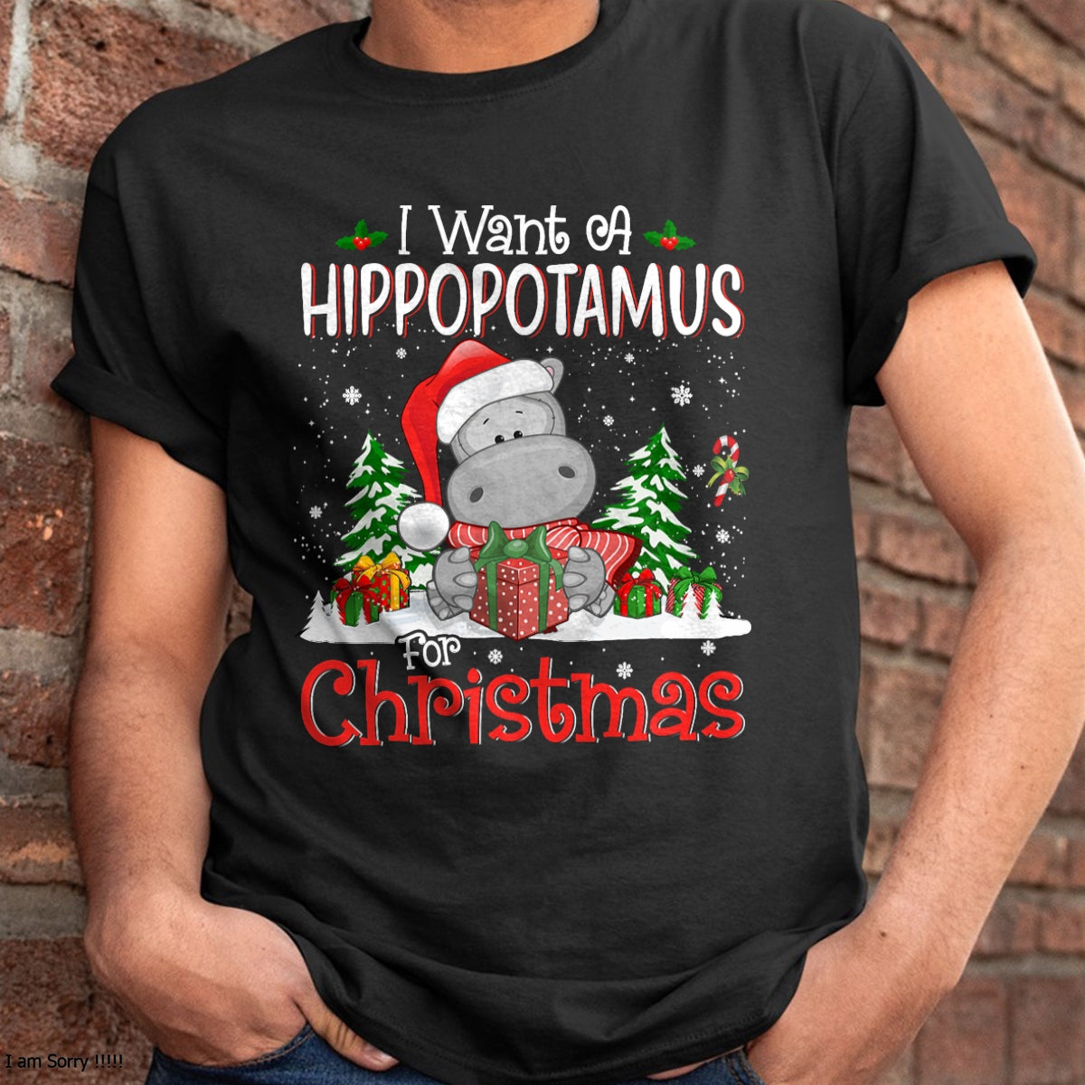 I Want A Hippopotamus For Christmas Xmas Hippo for Kid Women T-Shirt - Christmas Unisex T-Shirt/Hoodie/Sweatshirt - NGHL00
