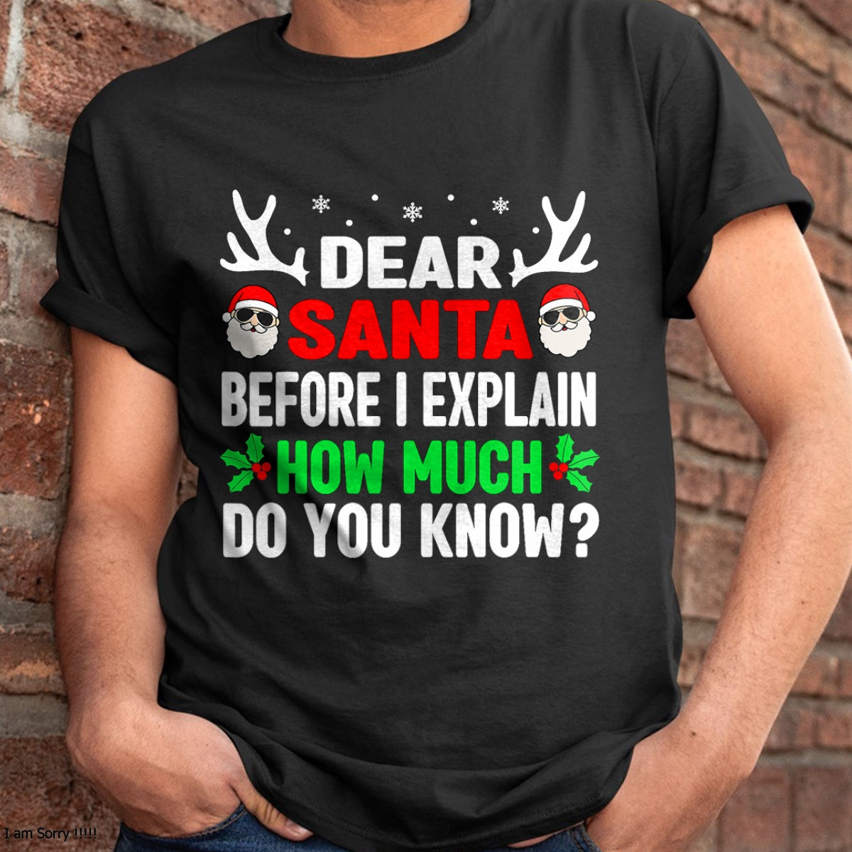 Funny Christmas Kids Adults Dear Santa I Can Explain T-Shirt - Christmas Unisex T-Shirt/Hoodie/Sweatshirt - NGHL00