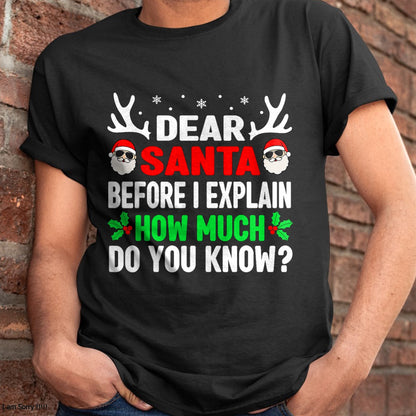 Funny Christmas Kids Adults Dear Santa I Can Explain T-Shirt - Christmas Unisex T-Shirt/Hoodie/Sweatshirt - NGHL00