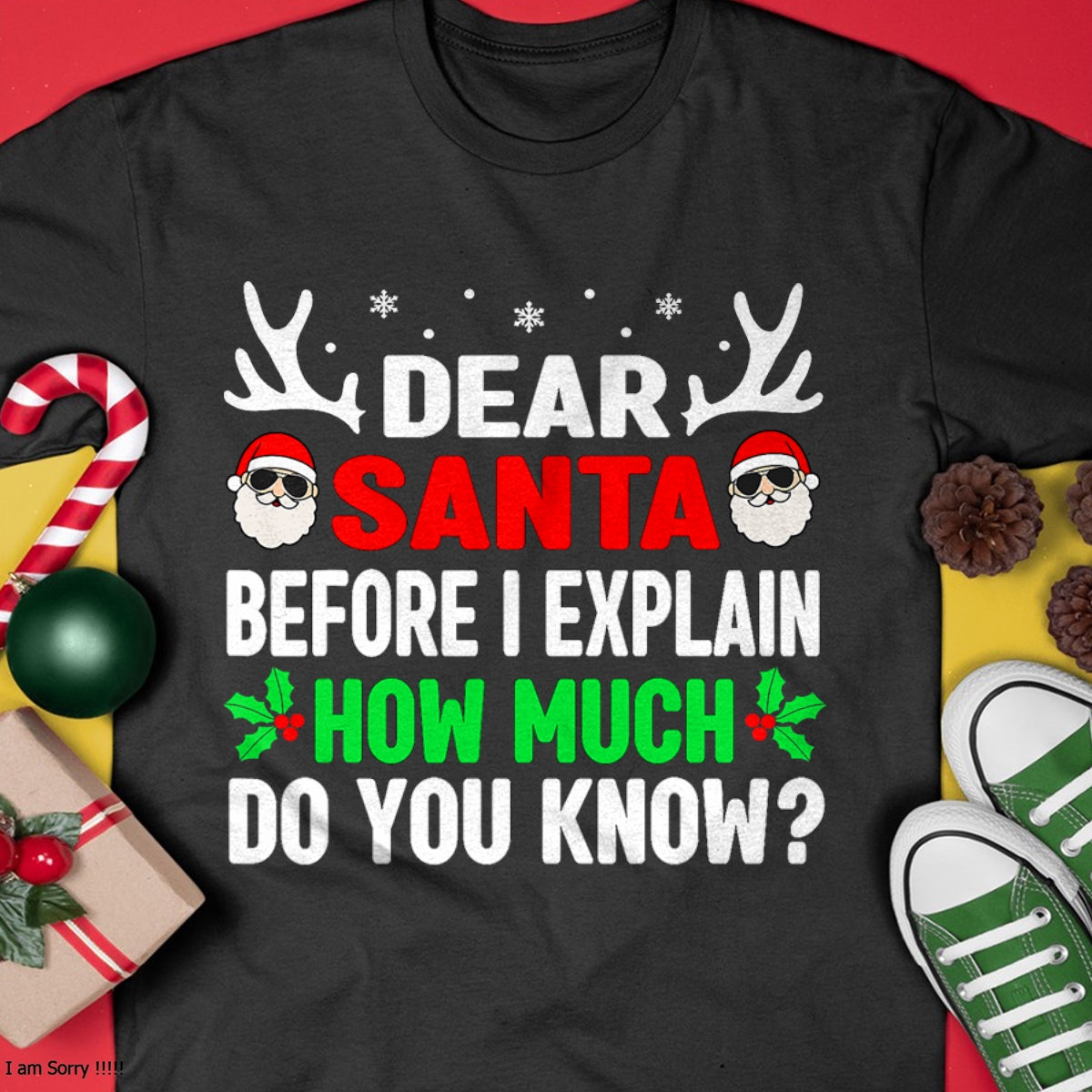 Funny Christmas Kids Adults Dear Santa I Can Explain T-Shirt - Christmas Unisex T-Shirt/Hoodie/Sweatshirt - NGHL00