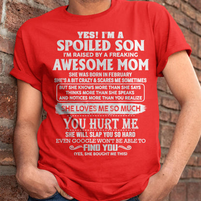 February - Awesome Mom - Perfect Gift For Your Spoiled Son From Mom - NGHL02 (SKU05-47-02)