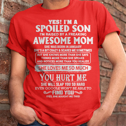 January - Awesome Mom - Perfect Gift For Your Spoiled Son From Mom - NGHL01 (SKU05-47-01)