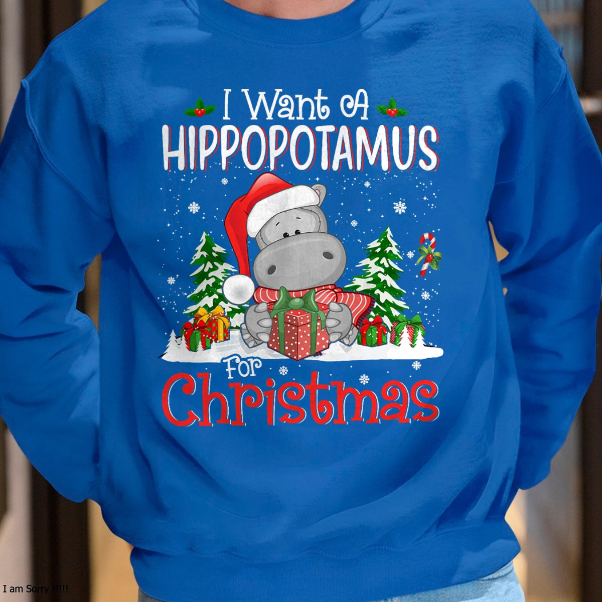 I Want A Hippopotamus For Christmas Xmas Hippo for Kid Women T-Shirt - Christmas Unisex T-Shirt/Hoodie/Sweatshirt - NGHL00