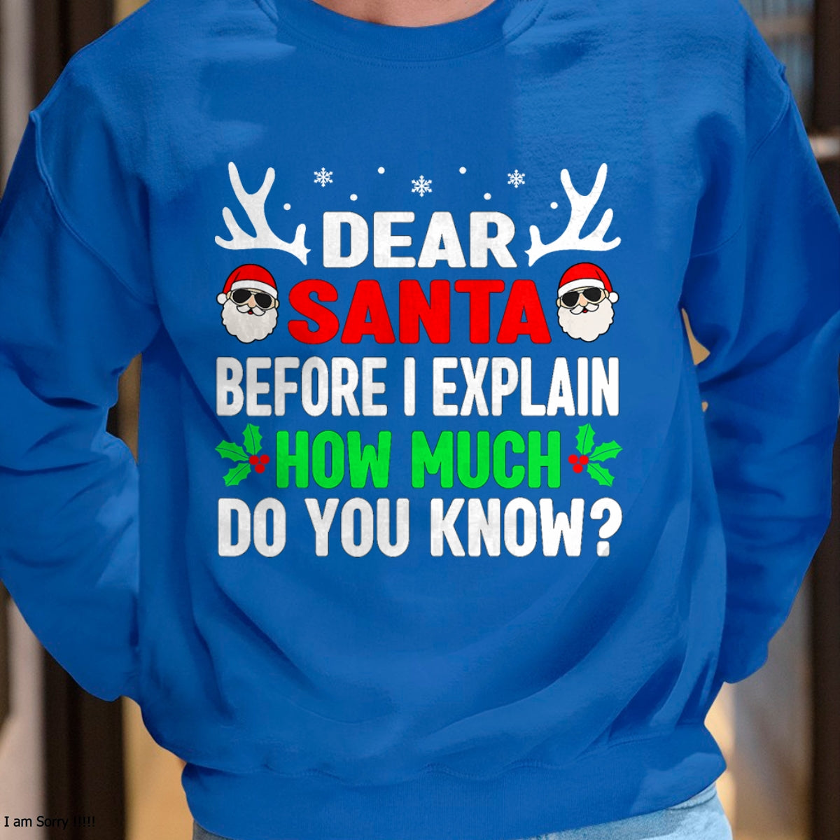 Funny Christmas Kids Adults Dear Santa I Can Explain T-Shirt - Christmas Unisex T-Shirt/Hoodie/Sweatshirt - NGHL00
