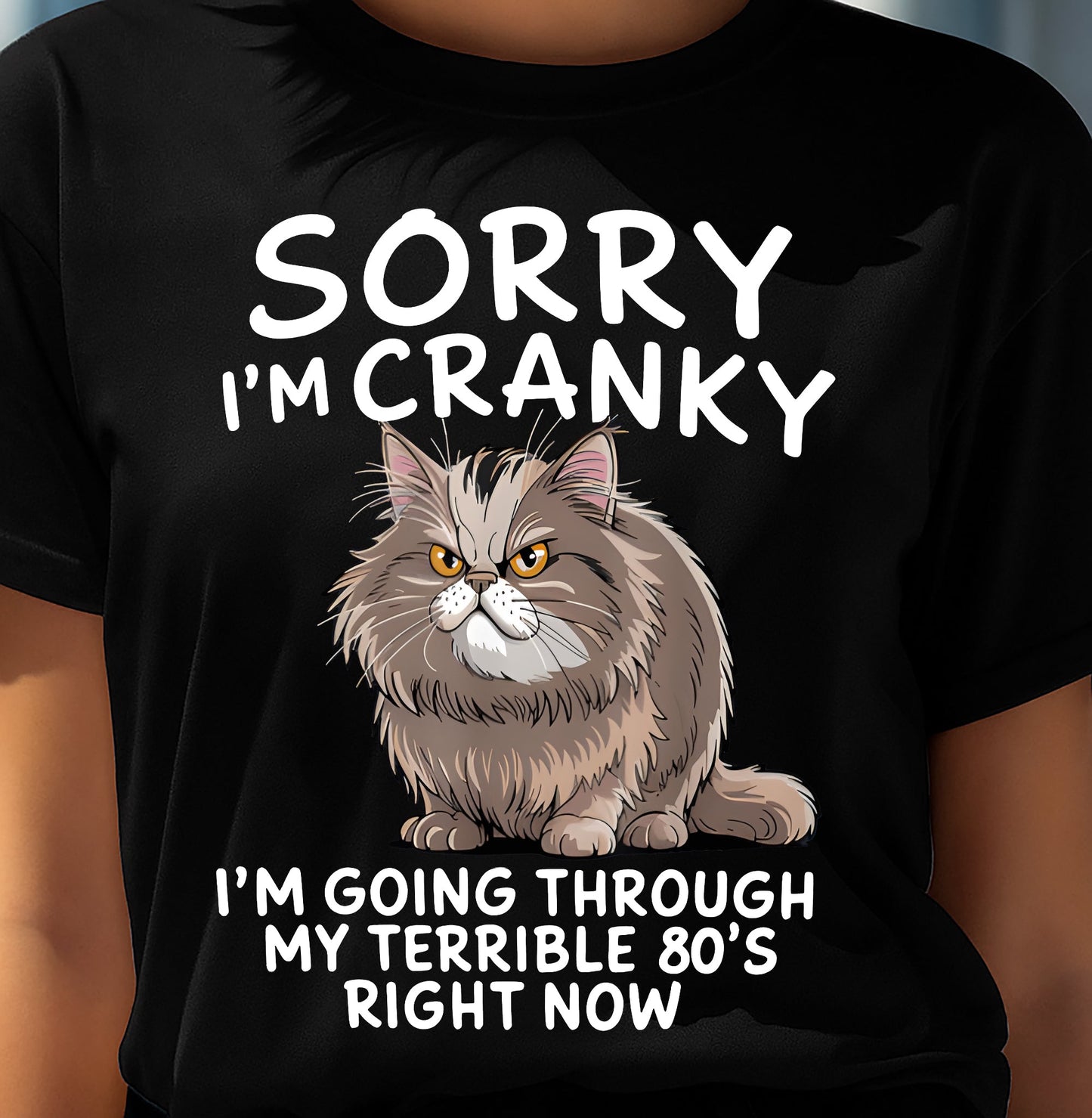 SORRY I AM CRANKY, 80'S - BIRTHDAY SHIRT FOR WOMEN - NGHL00 (SKU12-254)