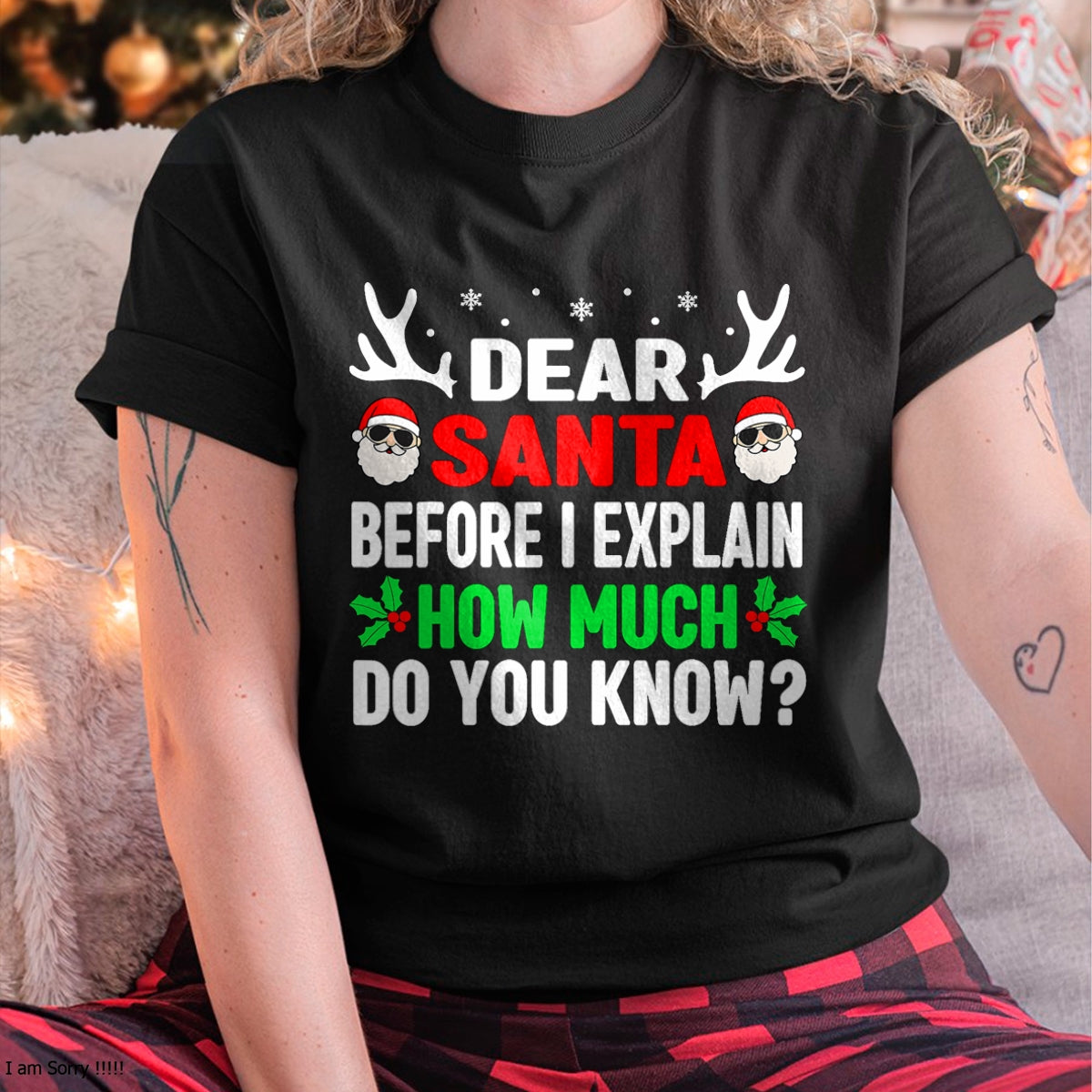 Funny Christmas Kids Adults Dear Santa I Can Explain T-Shirt - Christmas Unisex T-Shirt/Hoodie/Sweatshirt - NGHL00