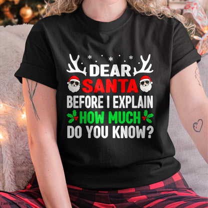 Funny Christmas Kids Adults Dear Santa I Can Explain T-Shirt - Christmas Unisex T-Shirt/Hoodie/Sweatshirt - NGHL00
