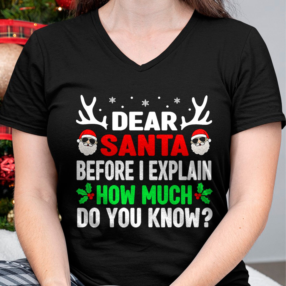 Funny Christmas Kids Adults Dear Santa I Can Explain T-Shirt - Christmas Unisex T-Shirt/Hoodie/Sweatshirt - NGHL00