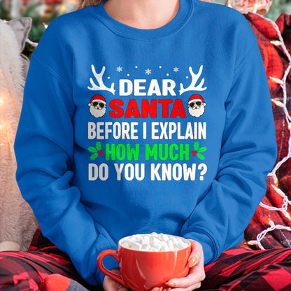 Funny Christmas Kids Adults Dear Santa I Can Explain T-Shirt - Christmas Unisex T-Shirt/Hoodie/Sweatshirt - NGHL00