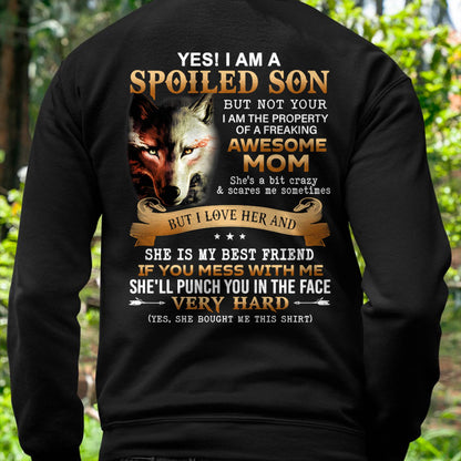 Lucky Son of Awesome Mom - Perfect Gift for Son From Mom - NGHL00 (SKU10-128-00)
