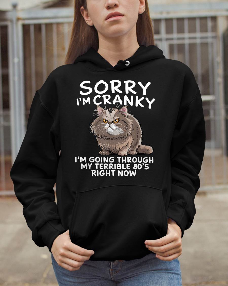 SORRY I AM CRANKY, 80'S - BIRTHDAY SHIRT FOR WOMEN - NGHL00 (SKU12-254)