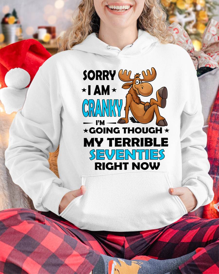 SORRY I AM CRANKY - BIRTHDAY SHIRT FOR WOMEN - NGHL00 (SKU12-249)