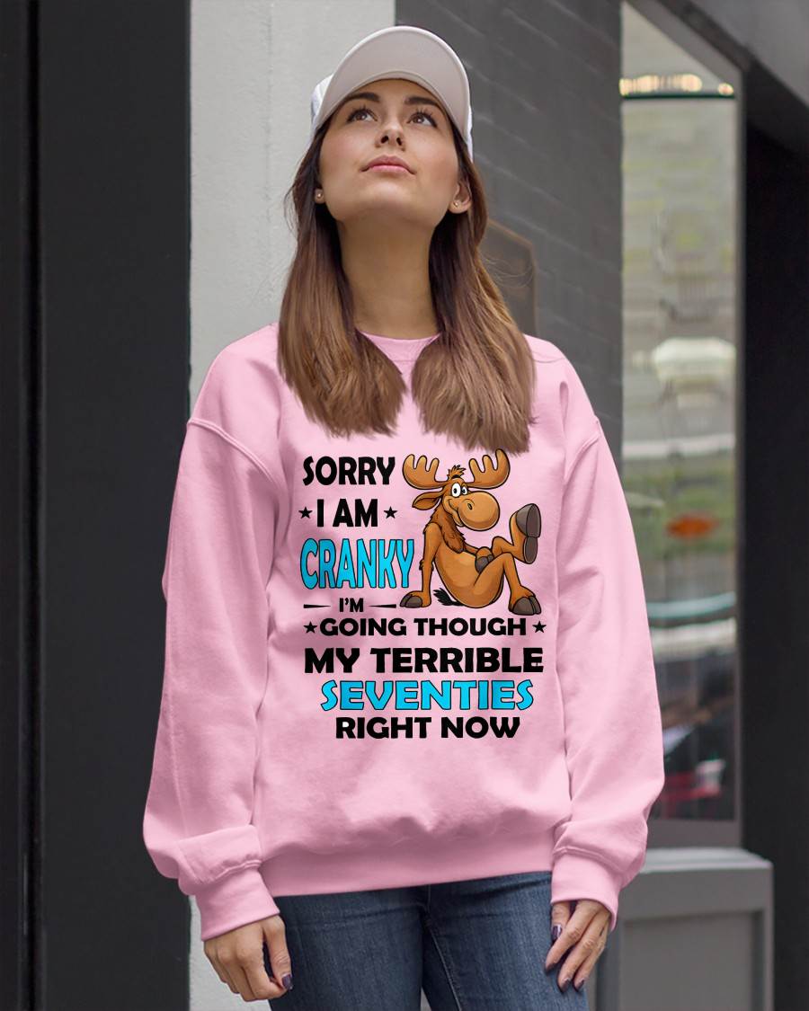 SORRY I AM CRANKY - BIRTHDAY SHIRT FOR WOMEN - NGHL00 (SKU12-249)